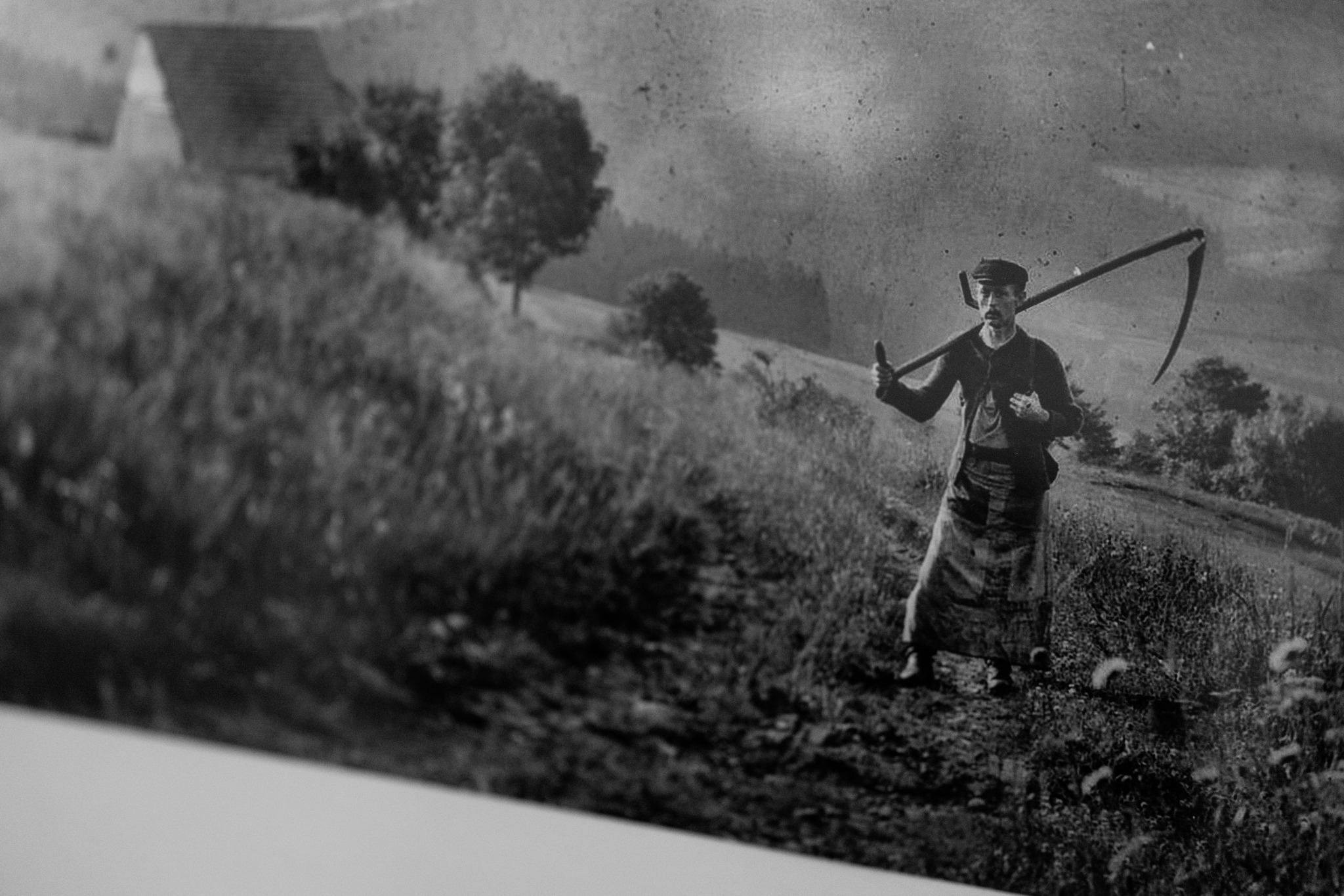 Featured image for “Hermann Krauße Photography Exhibition Extended Until April 13!”
